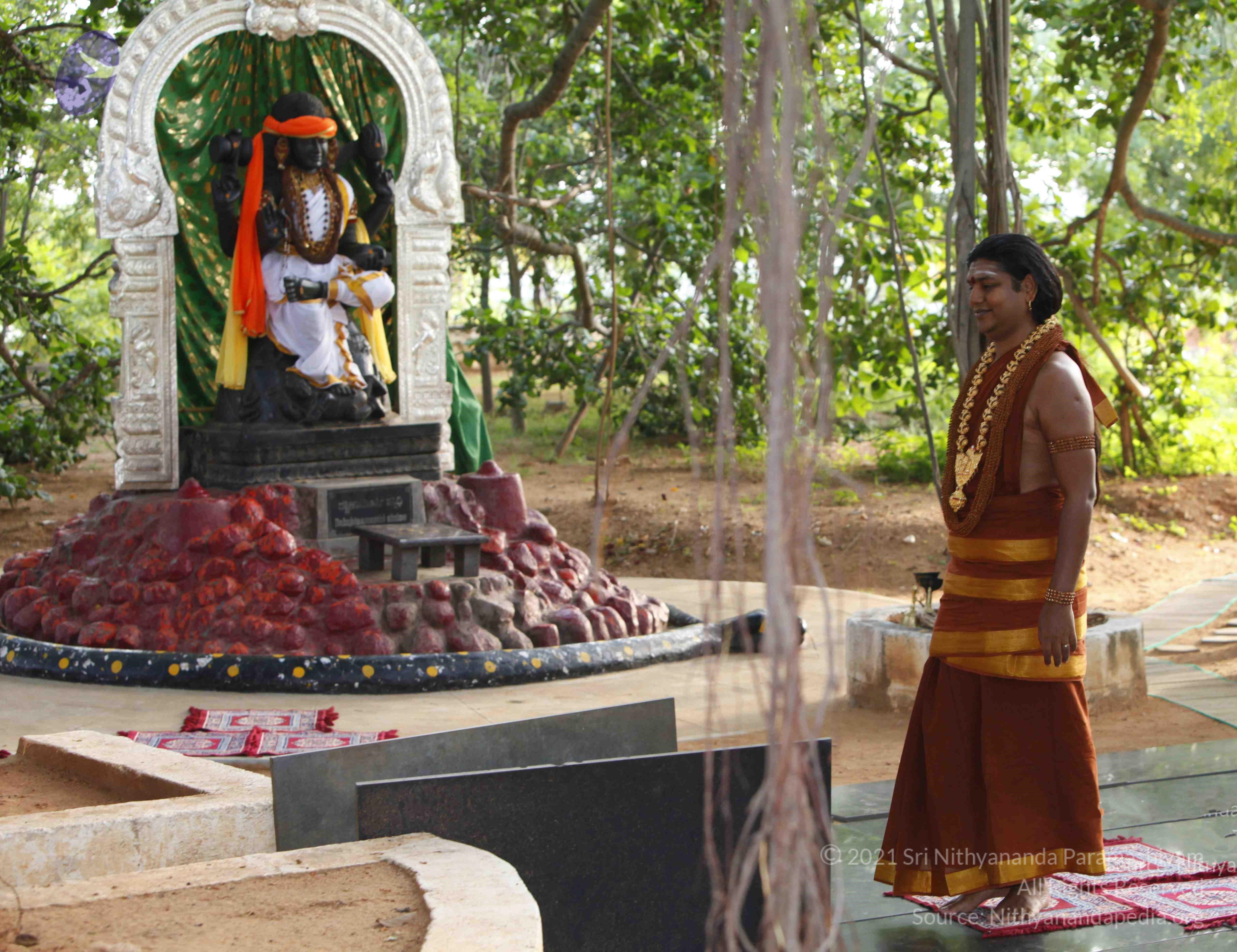 20130630_Photo_1002__MG_8631_CMP_WM Done